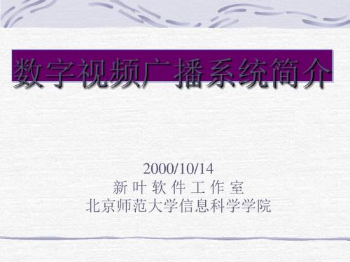 20001014新叶软件工作室北京师范大学信息科学学院