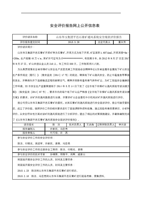 安全评价报告网上公开信息表【模板】