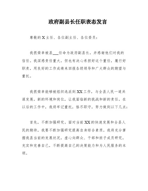 政府副县长任职表态发言