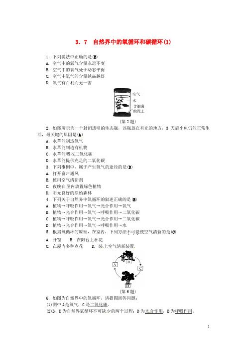 八年级科学下册 3.7 自然界中的氧循环和碳循环(1)同步练习 (新版)浙教版