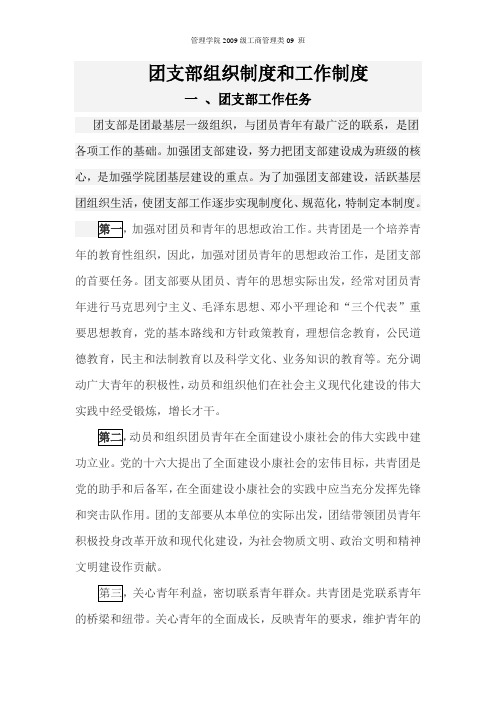 3、(可继续用)团支部组织制度和工作制度及落实情况