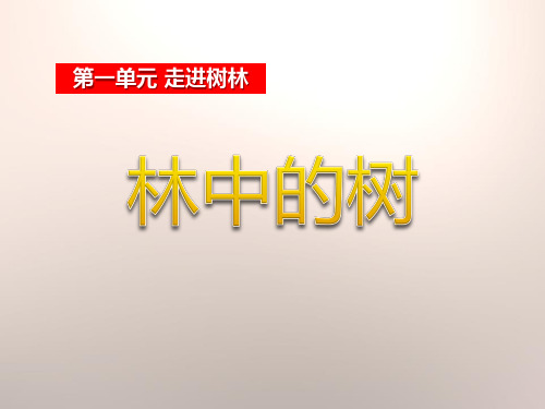 《林中的树》走进树林 PPT实用课件3