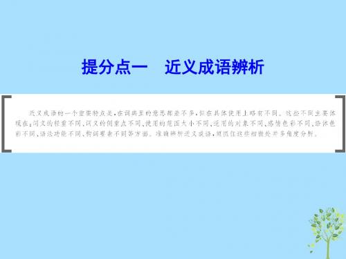 2019年高考语文大二轮复习第七章语言文字运用提分点一近义成语辨析课件20181215285