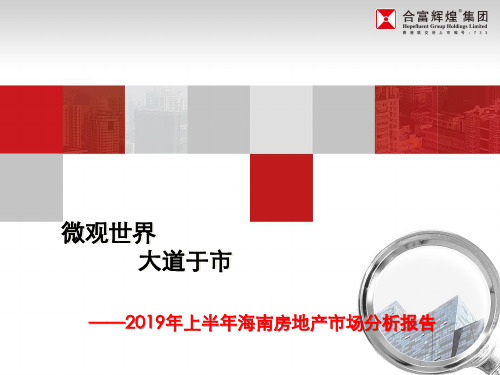 2019上半年海南房地产市场分析报告60p 共61页