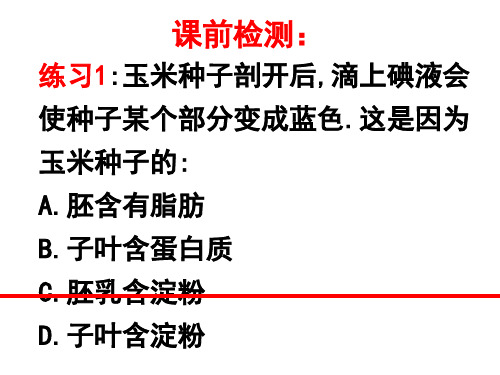 人教版七年级生物上册第三单元第二章第一节种子的萌发PPT课件