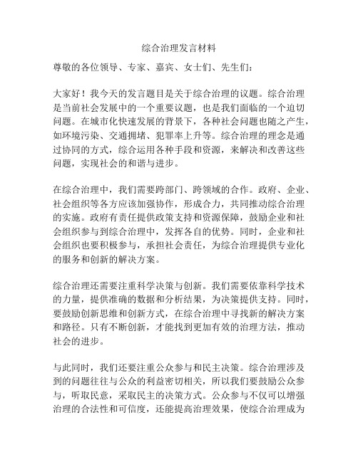 综合治理发言材料