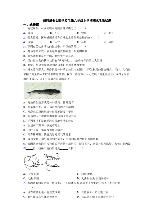 深圳新安实验学校生物八年级上学期期末生物试题