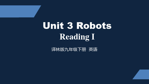 译林版 初中九年级下册 Unit 3 Reading I ppt课件