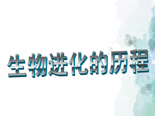 苏教版生物-八年级上册 第5单元 第16章 第二节 生物进化的历程课件