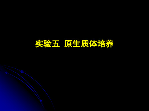 原生质体培养实验