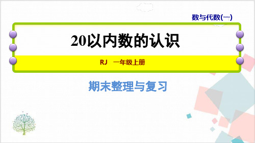 人教版九总复习一数与代数数的认识-ppt下载