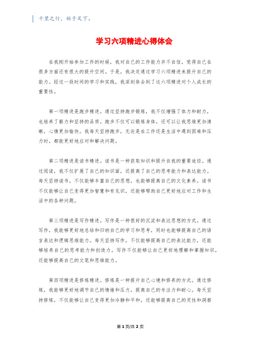 学习六项精进心得体会