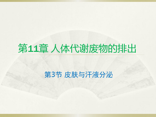 第3节皮肤与汗液分泌