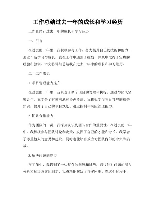 工作总结过去一年的成长和学习经历