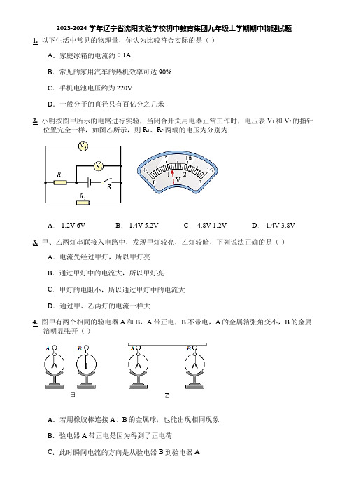 2023-2024学年辽宁省沈阳实验学校初中教育集团九年级上学期期中物理试题