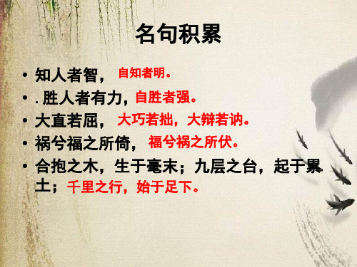 老子五章ppt14 人教课标版