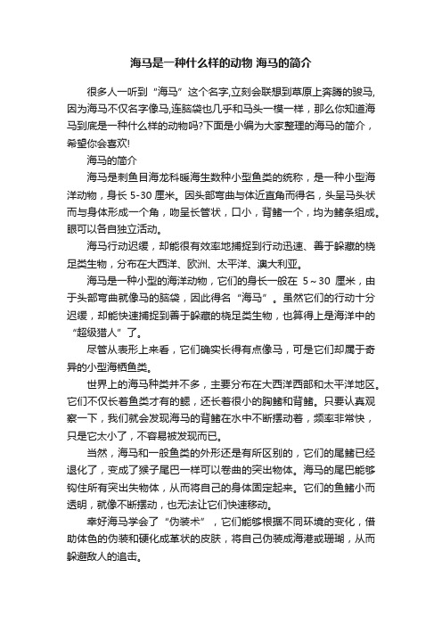 海马是一种什么样的动物海马的简介