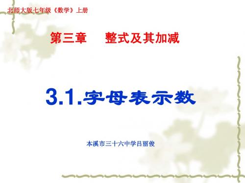 3.1字母表示数吕丽俊