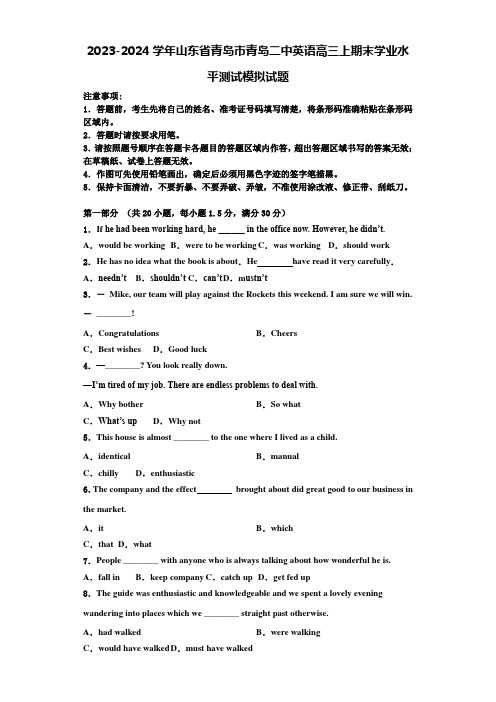 2023-2024学年山东省青岛市青岛二中英语高三上期末学业水平测试模拟试题含解析