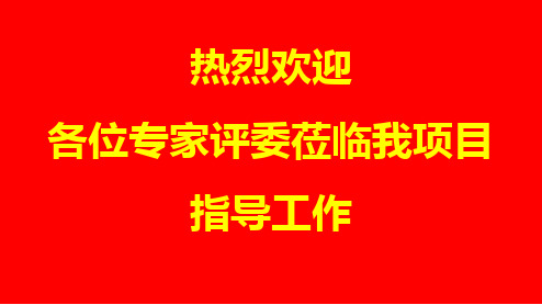 优秀北京市结构长城杯汇报PPT模板