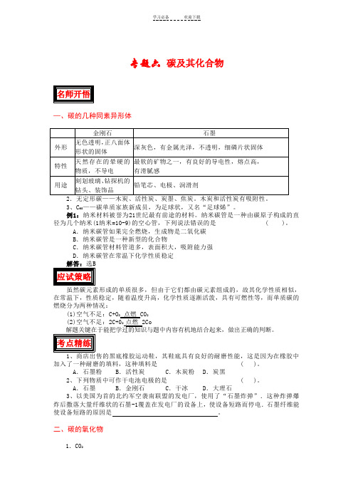 中考化学总复习专题六碳及其化合物