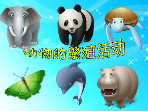 动物的繁殖活动