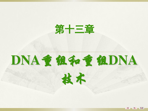 分子生物学原理：DNA重组和重组DNA