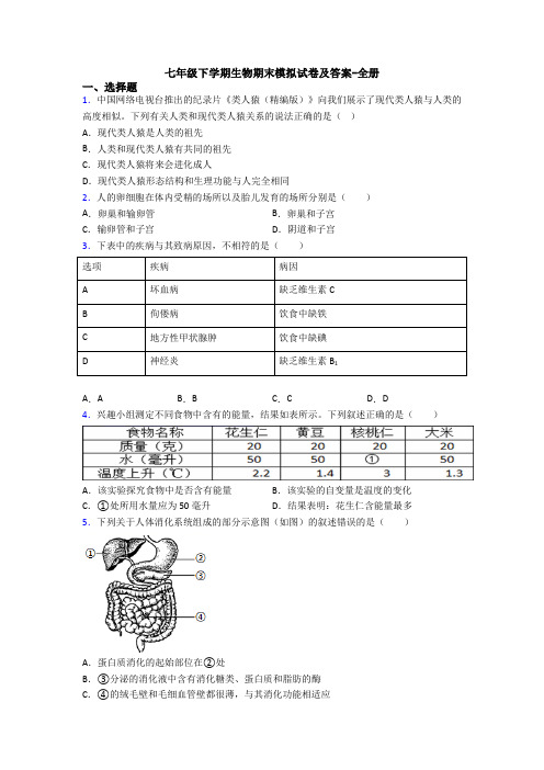 七年级下学期生物期末模拟试卷及答案-全册