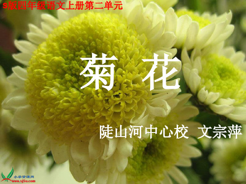 《菊花》元稹