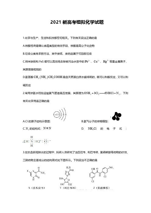 2021年新高考模拟化学试题及答案