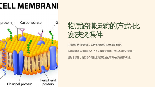 物质跨膜运输的方式-比赛获奖课件