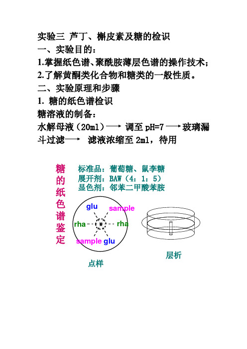 实验三 芦丁、槲皮素及糖的检识