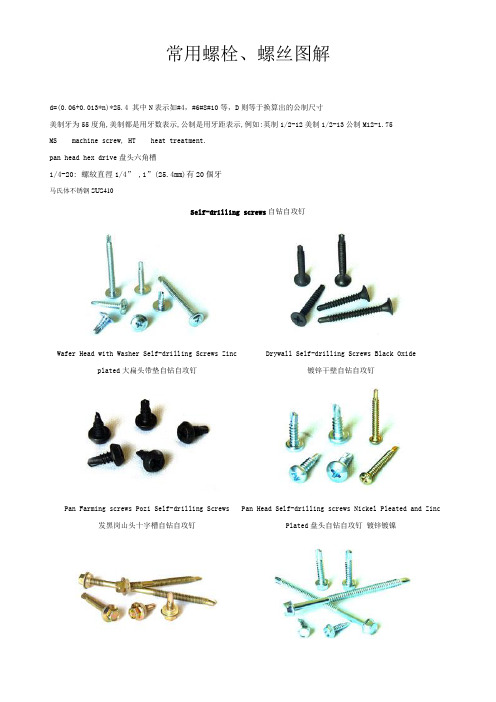 常用螺栓、螺丝图解