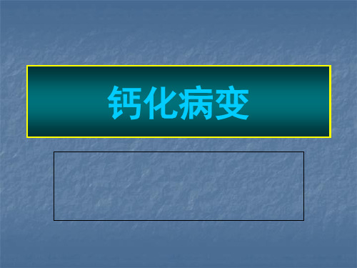 钙化病变