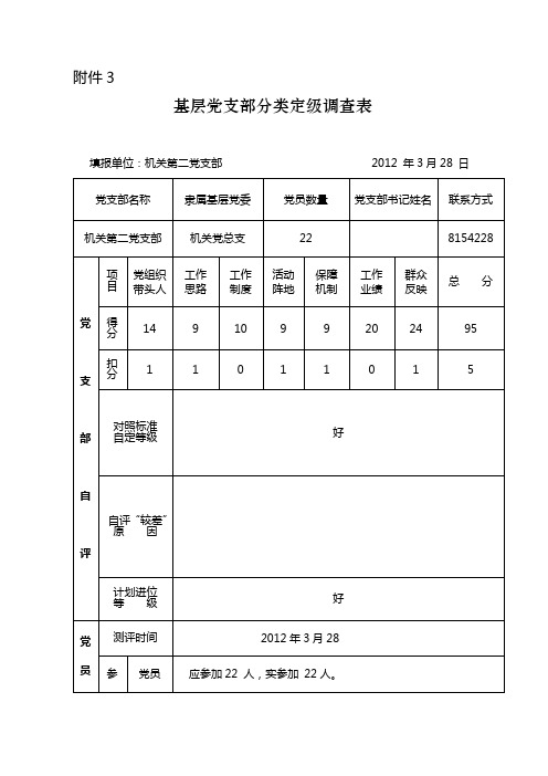 党支部分类定级表2