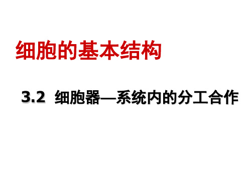 生物必修Ⅰ人教新课标3-2细胞器—系统内的分工合作课件(35张)