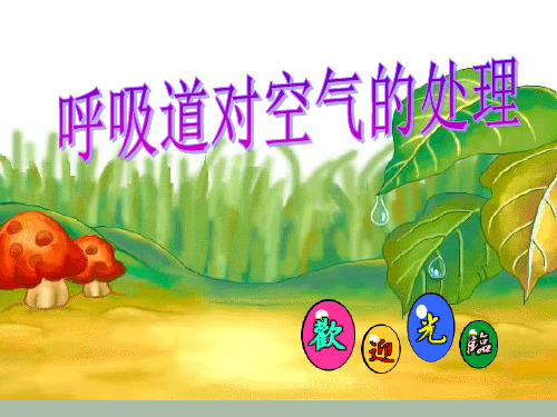 人教版初中生物七年级下册课件-4.3.1 呼吸道对空气的处理27