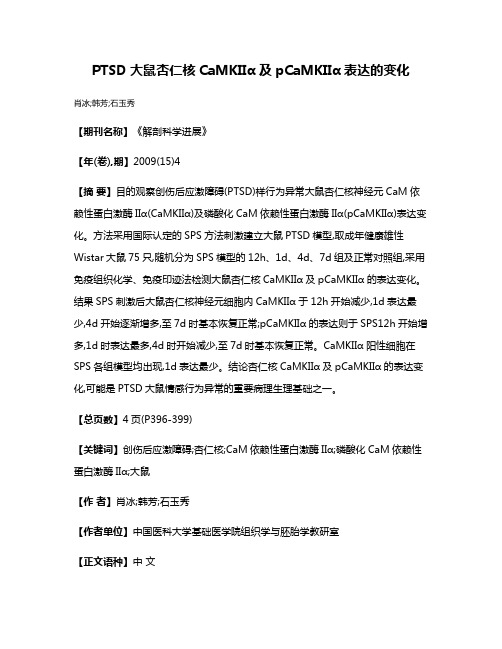 PTSD大鼠杏仁核CaMKIIα及pCaMKIIα表达的变化