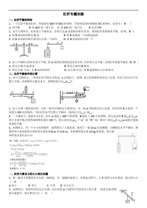 杠杆同步分类练习(教师版)