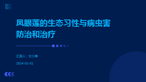 凤眼莲的生态习性与病虫害防治和治疗