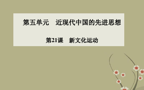 高中历史 第21课 新文化运动配套课件 岳麓版必修3
