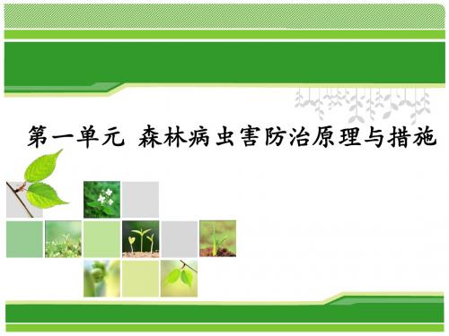 园林植物病虫害课件.ppt