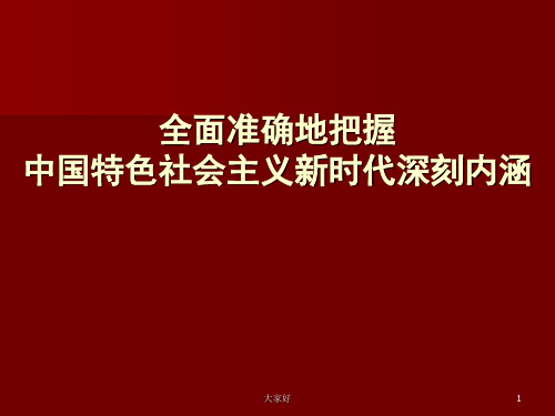 中国特色社会主义新时代 PPT