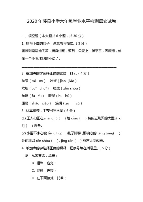 2020年藤县小学六年级学业水平检测语文试卷