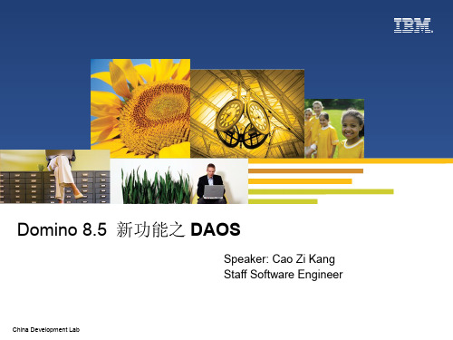 Domino 8.5 DAOS 功能介绍与配置指南说明书