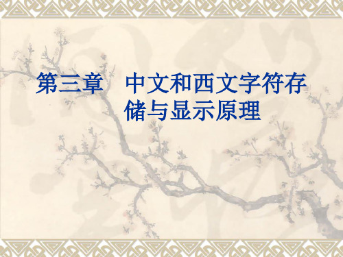 汉字和西文字符存储和显示原理市公开课获奖课件省名师示范课获奖课件