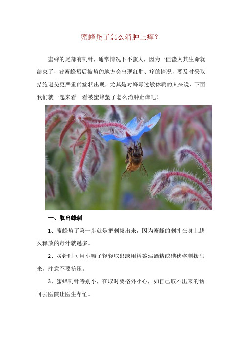 蜜蜂蛰了怎么消肿止痒？