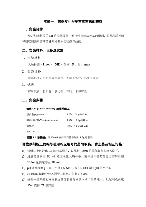 分子生物学实验课件讲稿