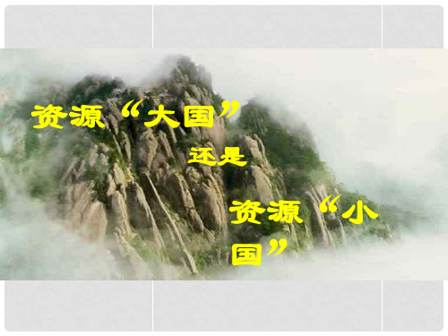 九年级历史与社会全册 第二单元 第二课 第二框 资源“大国”还是资源“小国”课件 人教版