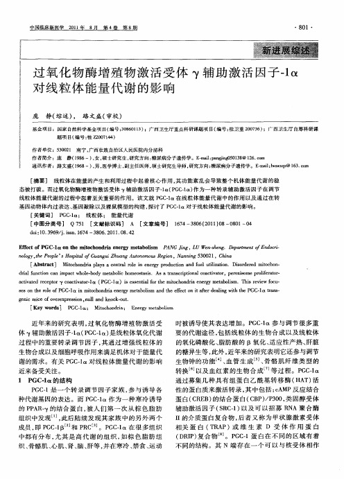 过氧化物酶增殖物激活受体γ辅助激活因子-1α对线粒体能量代谢的影响